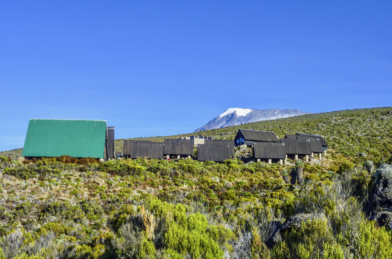 Kilimanjaro Marangu Route
