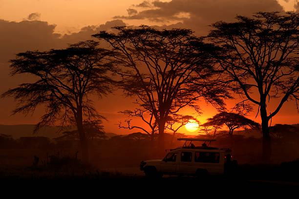 Tanzania Semi-Luxury Safari