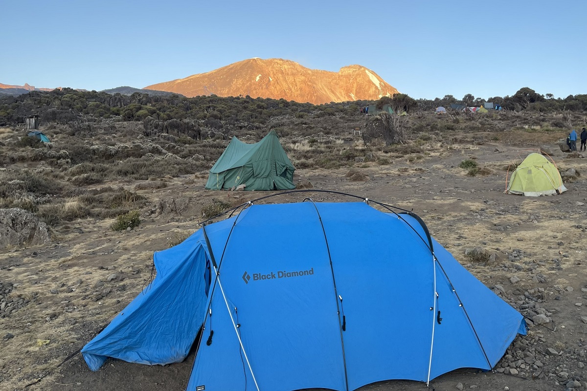 Responsible African Safaris