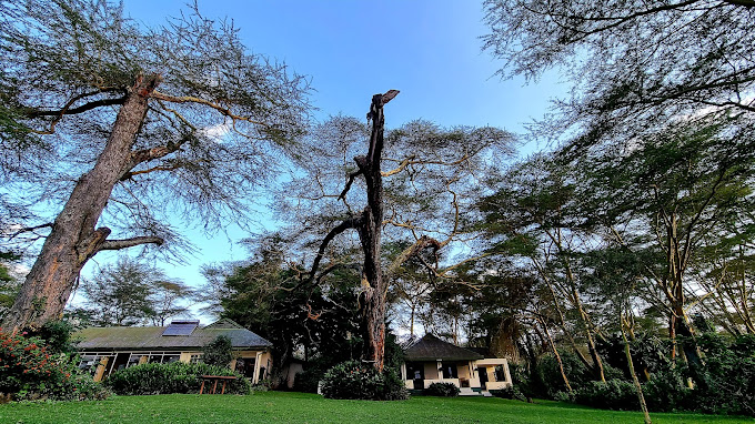 Standard: Elsemere Lodge