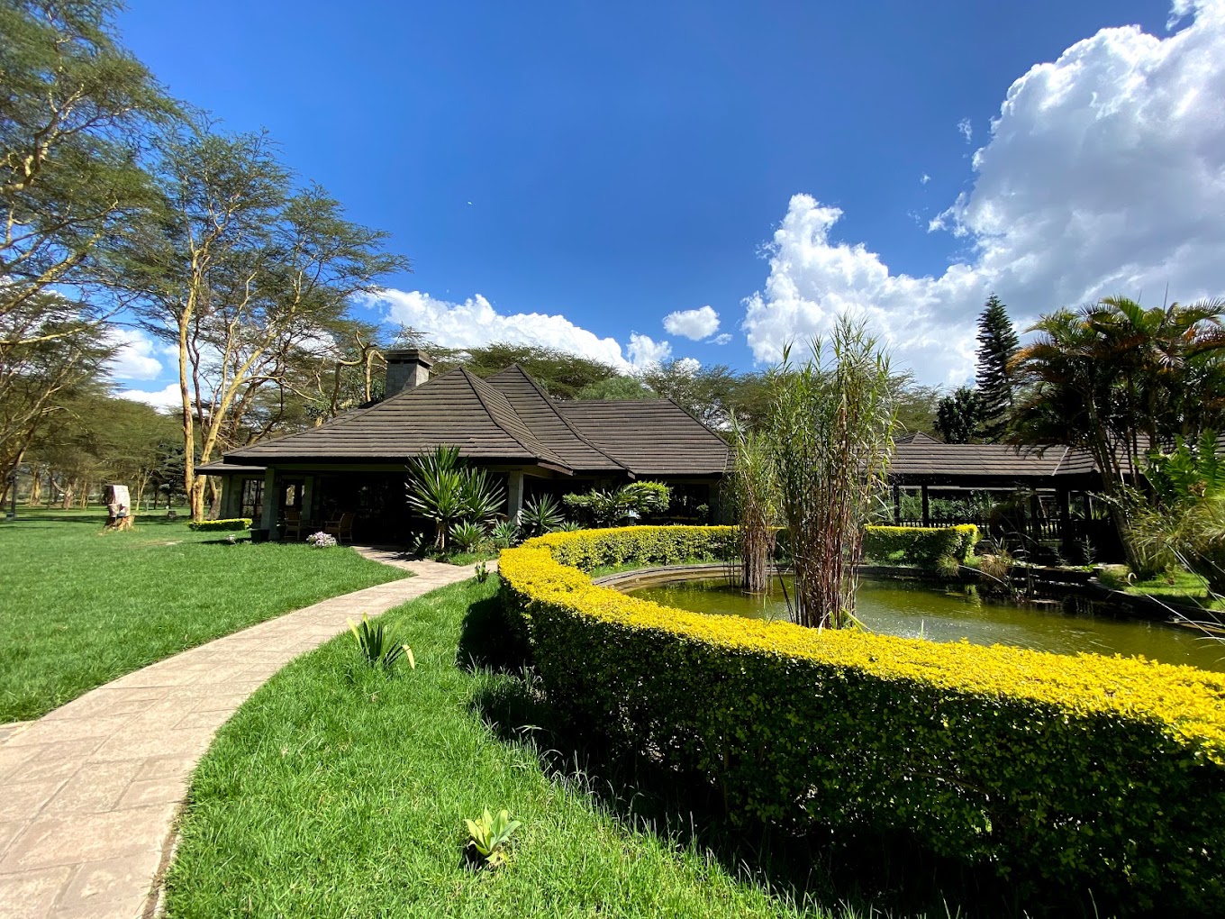 Semi-Luxury: Lake Naivasha Simba Lodge