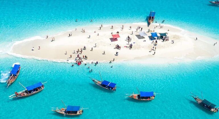 Tanzania safari and Zanzibar Beach