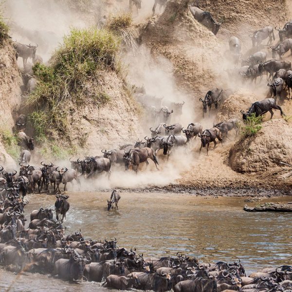 Responsible African Safaris