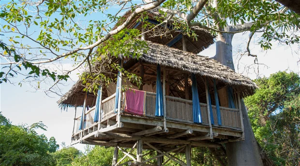 Chole Mjini Tree Lodge