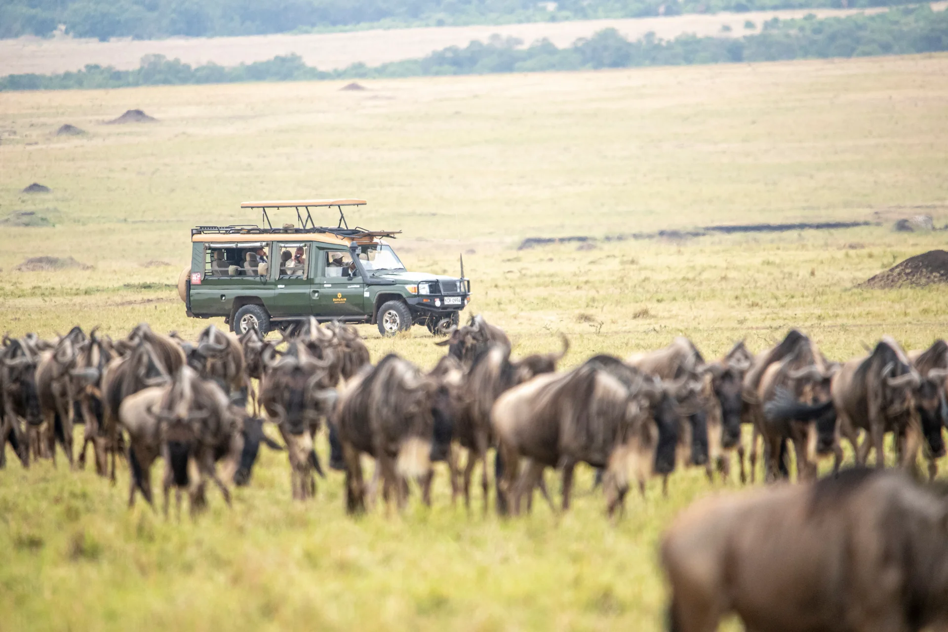 7 Days Safari and Zanzibar Islands