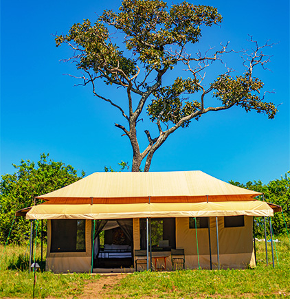 Standard: Sero Migration Camp