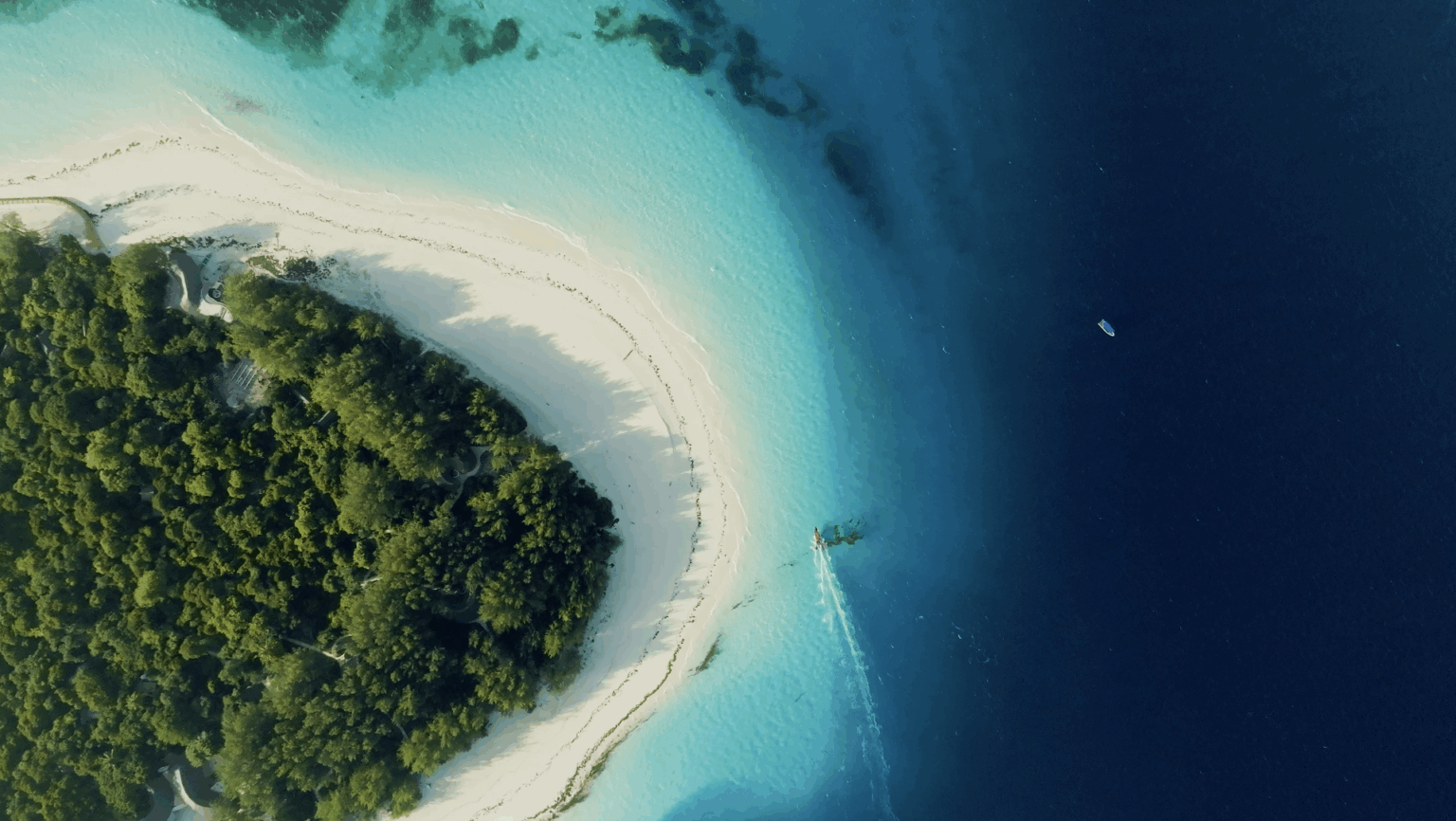 Mnemba Snorkeling Tour